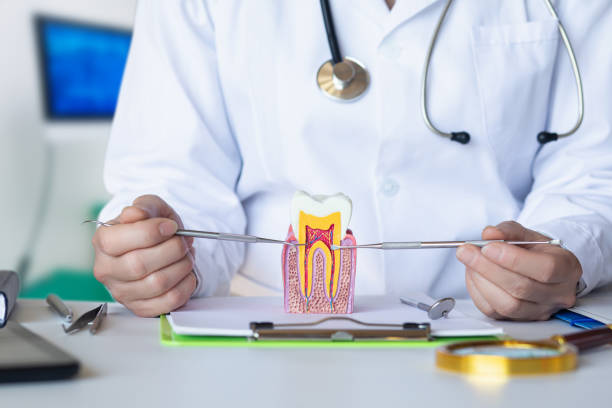 Best Emergency Dentist for Lost Fillings or Crowns in Lagrange, OH